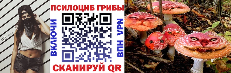 купить   Королёв  Псилоцибиновые грибы ЛСД 