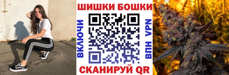 дарнет шоп  Королёв  Бошки Шишки семена 